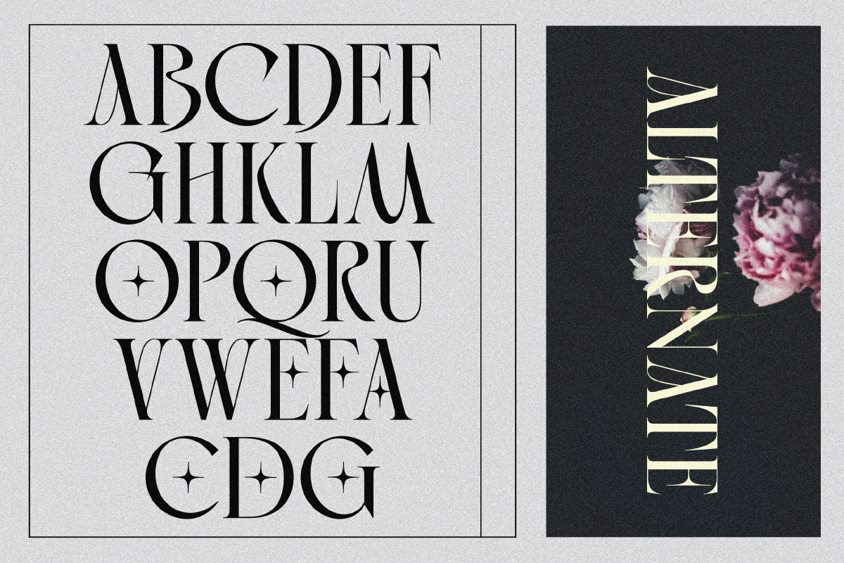 Golden Brown - Modern Serif Typeface — image 17