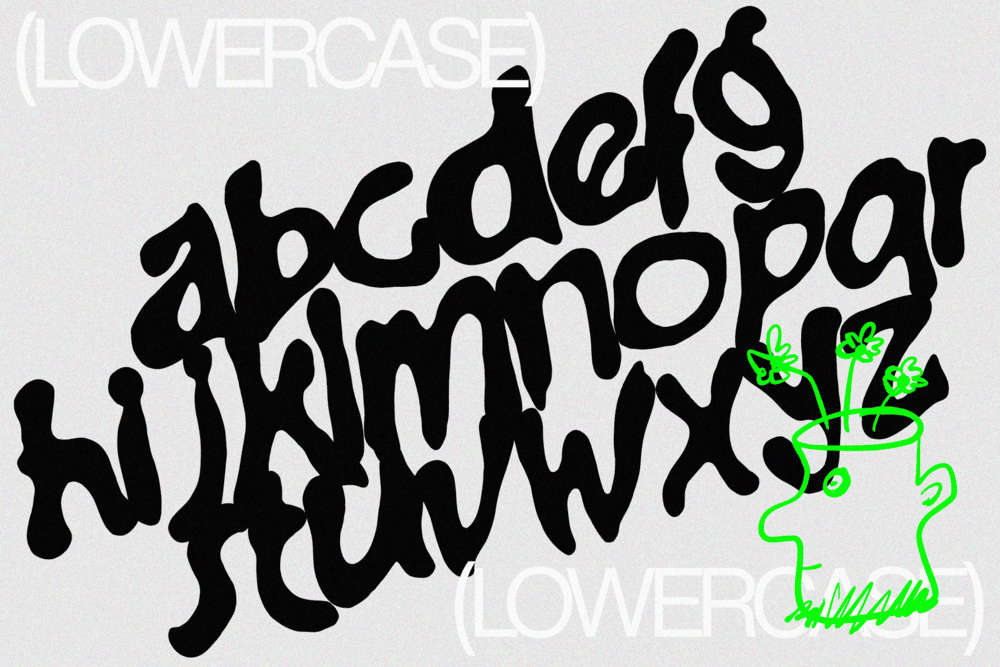 GOWNY  — Modern Branding Font — image 13