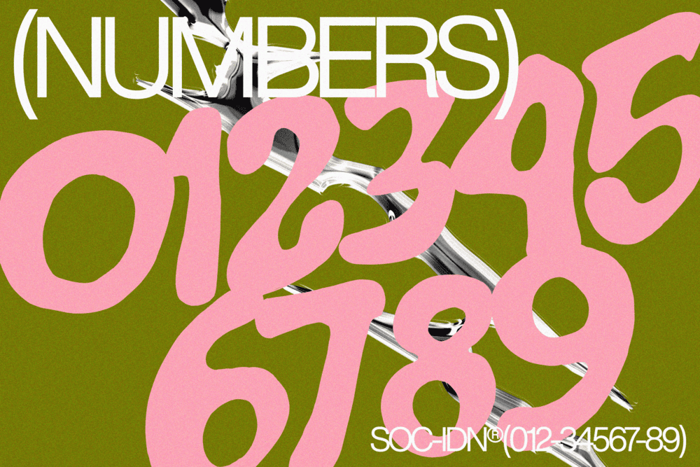 GOWNY  — Modern Branding Font — image 14