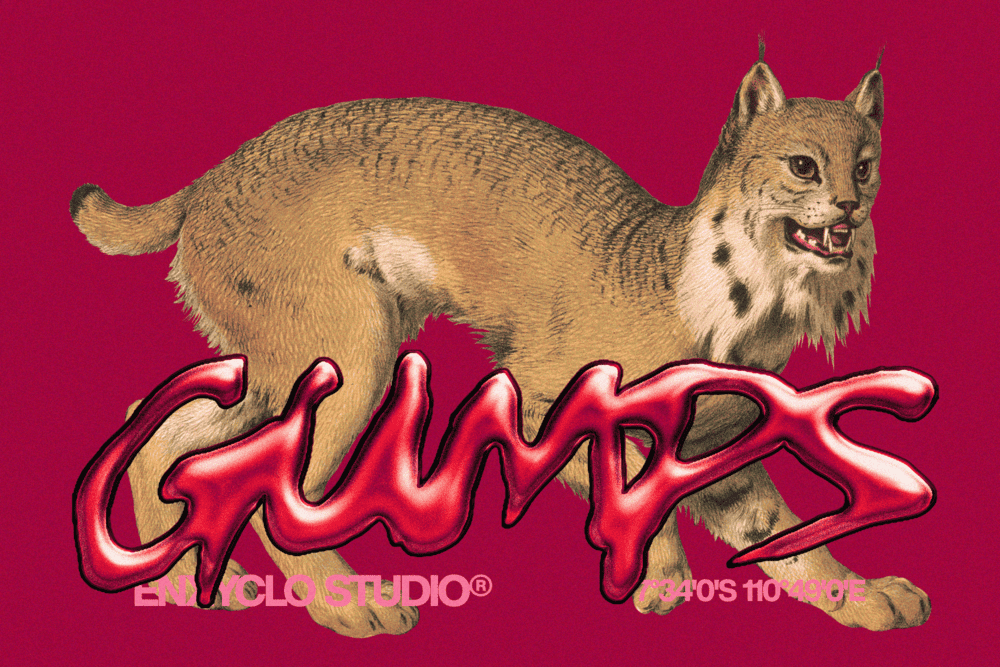 GUMPS OVER — Raw Branding Font — image 3