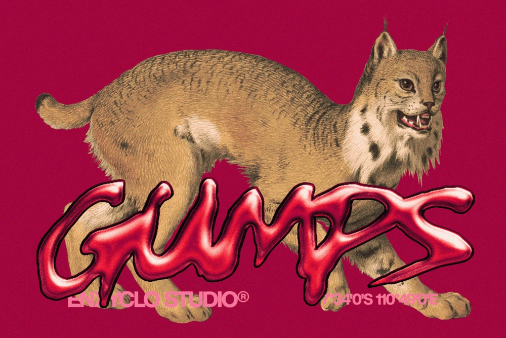 GUMPS OVER — Raw Branding Font — image 3