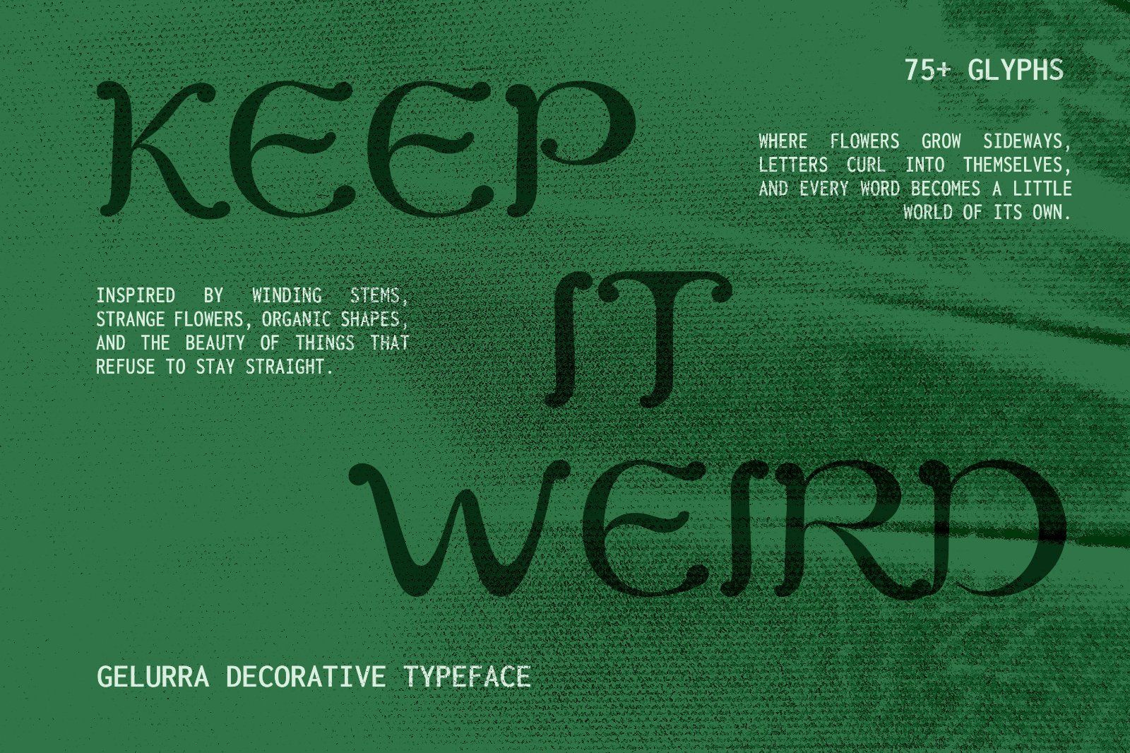Font Gelurra – Decorative Vintage Display Font — image 2