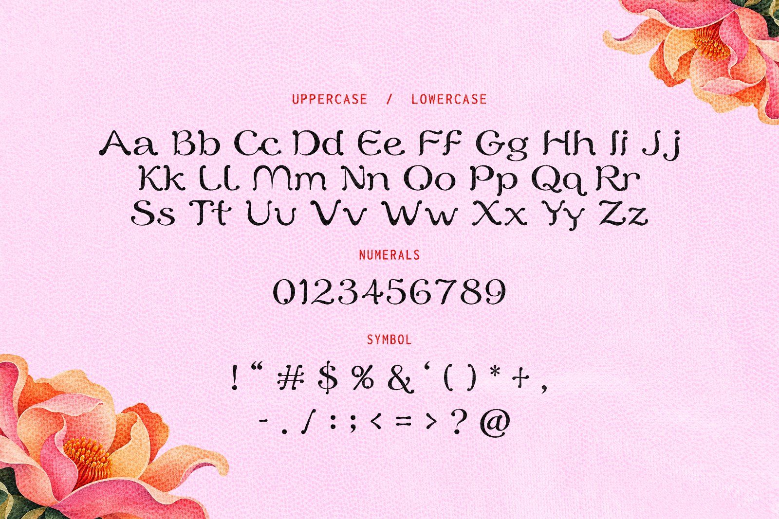 Font Gelurra – Decorative Vintage Display Font — image 6