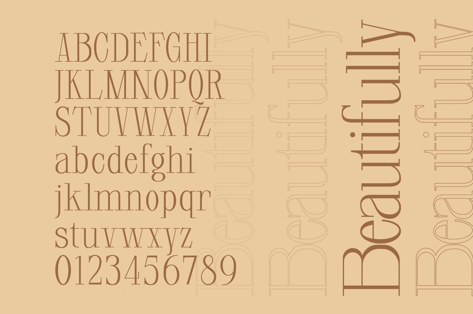 Glorious Copper Family — image 6