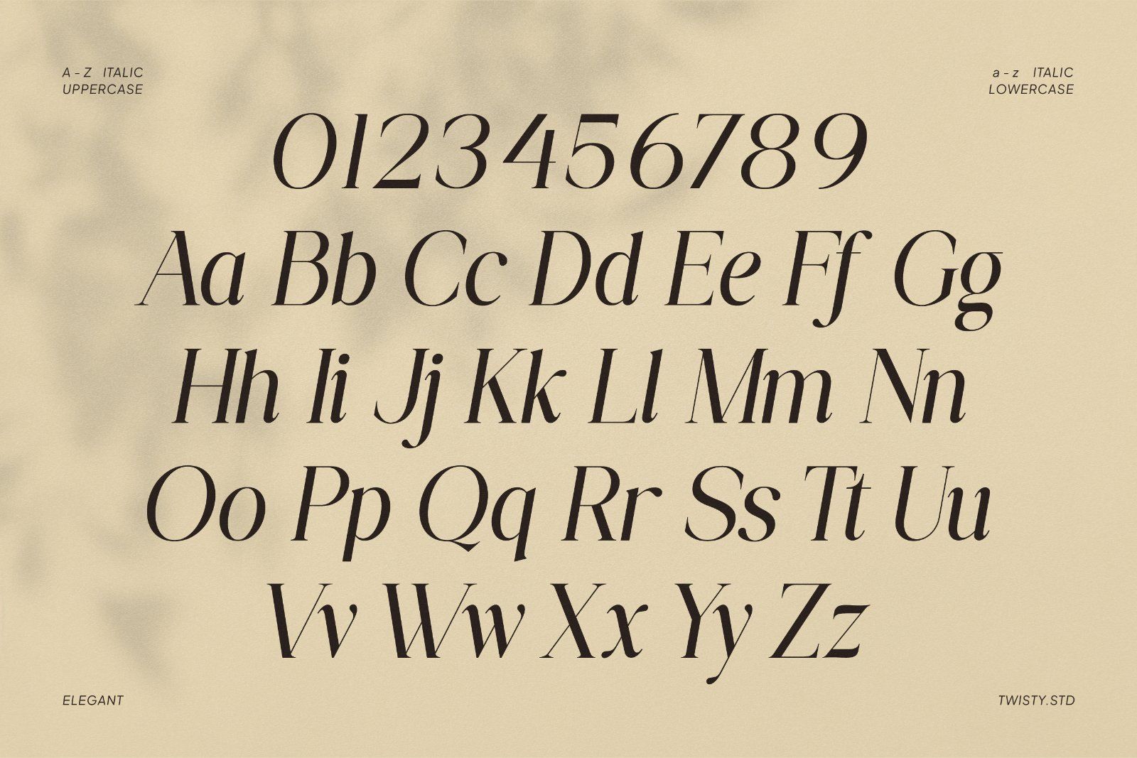 Great Respect - Duo Serif Font — image 8