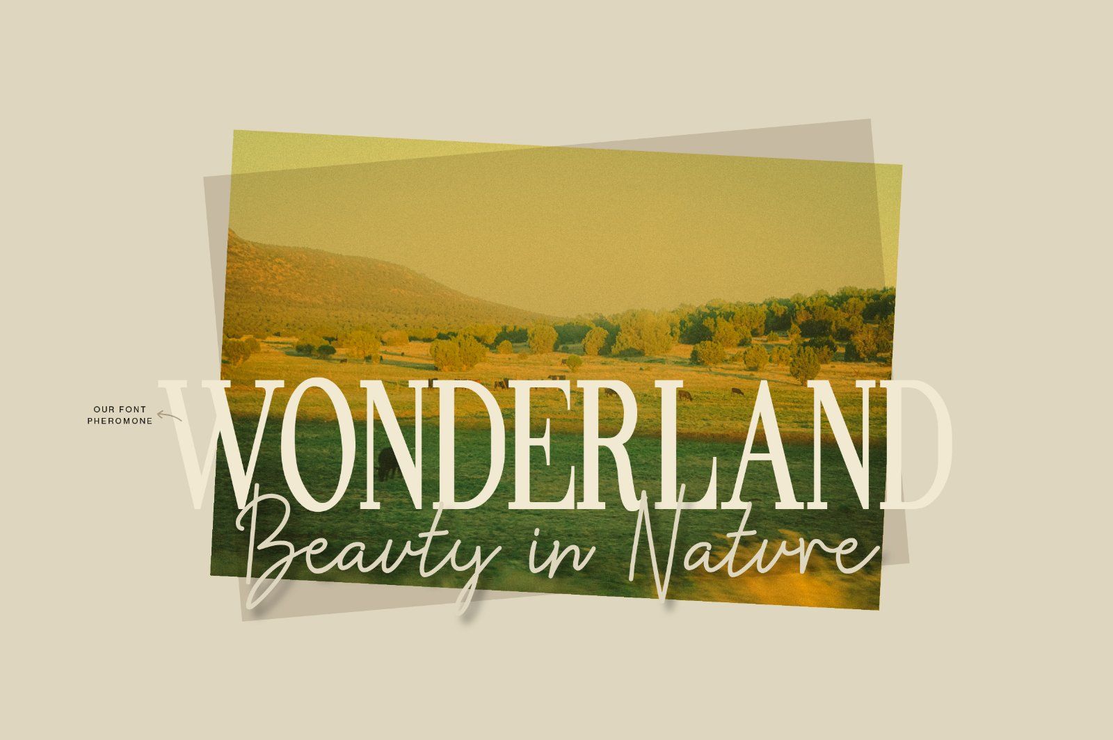 Gwathlyn Beauty Monoline Font — image 7