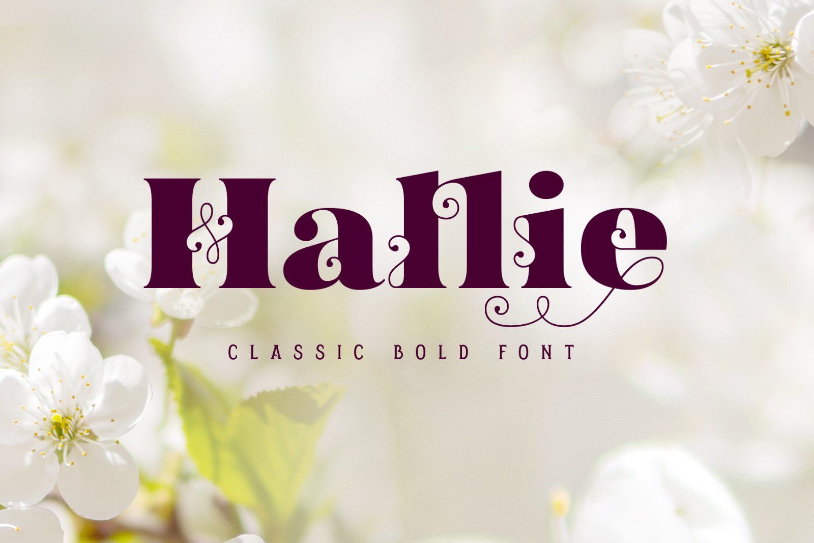 Hallie - Bold Classic Font — image 1