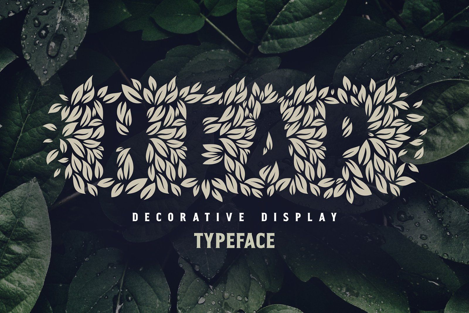 Heap Font — image 1