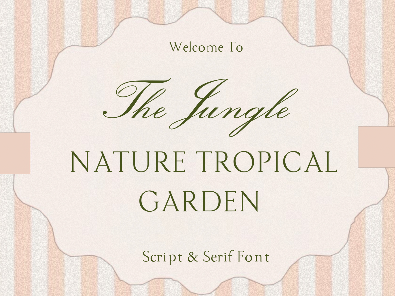 The Jungle - Script Serif Font