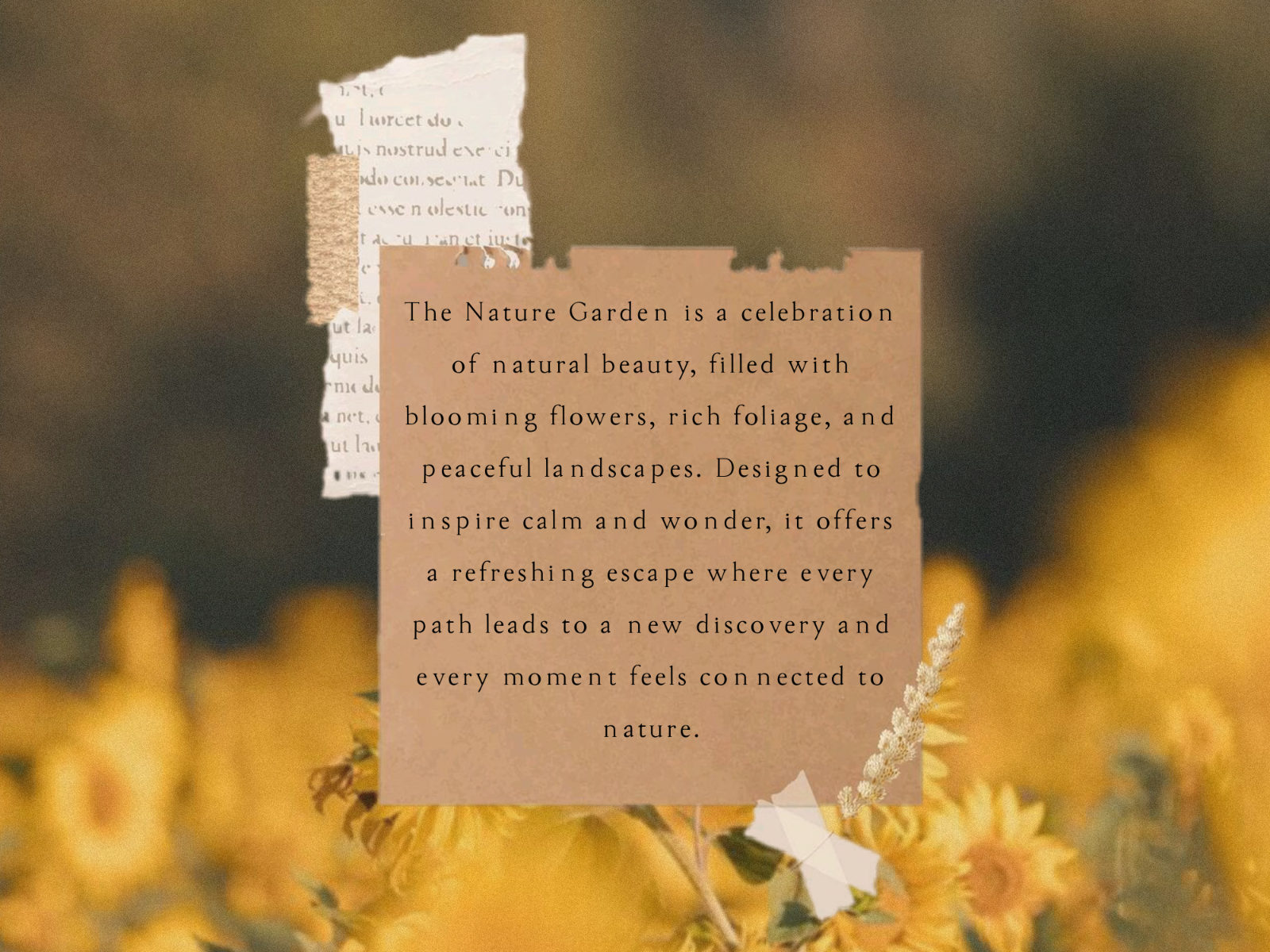 The Jungle - Script Serif Font