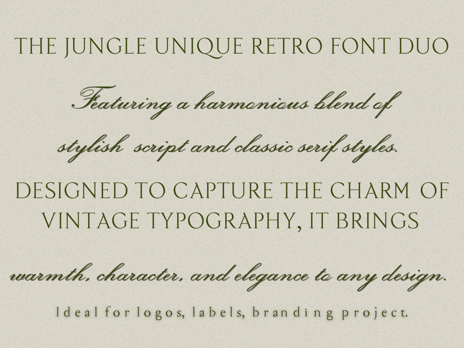 The Jungle - Script Serif Font