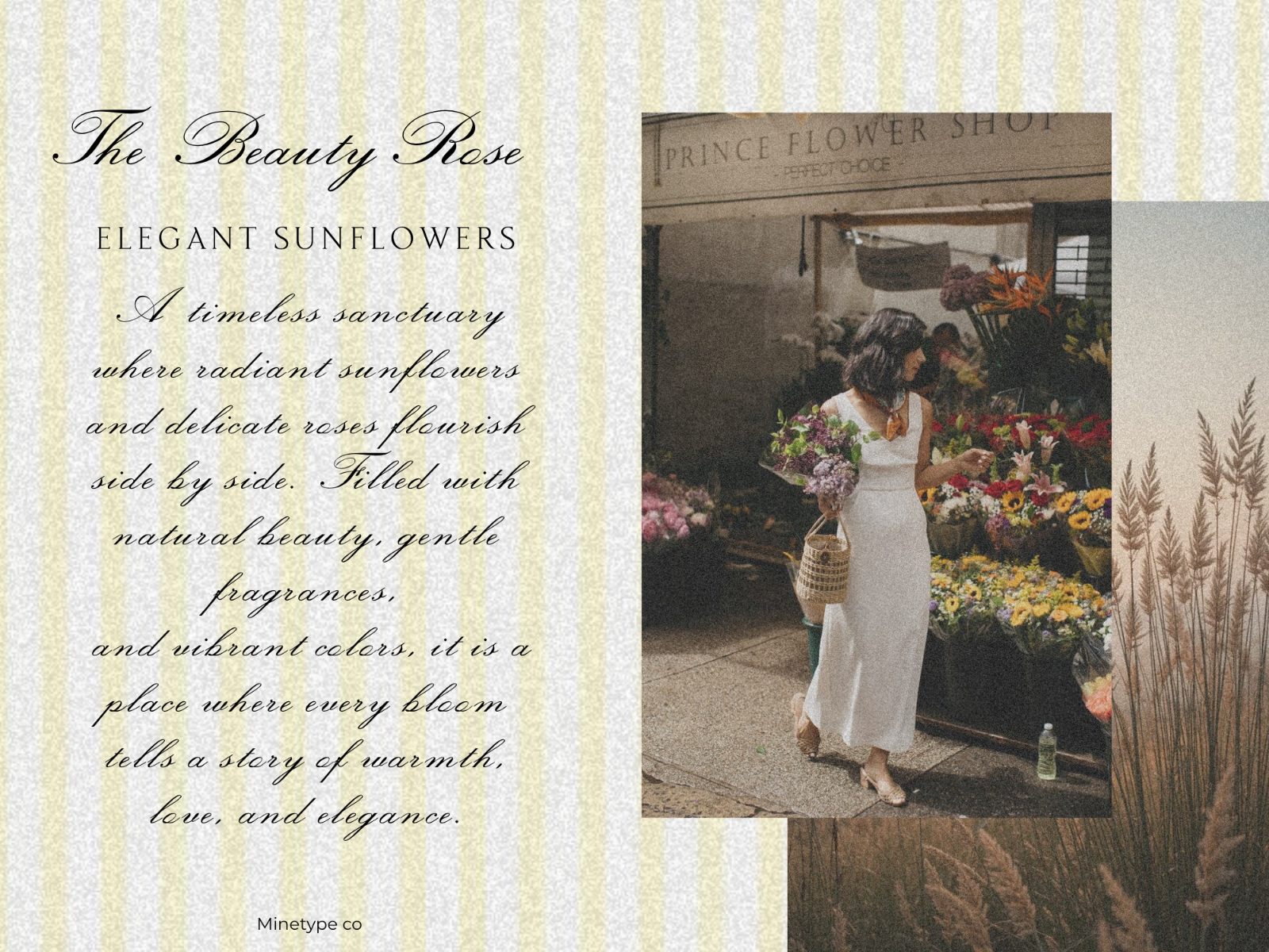 The Jungle - Script Serif Font