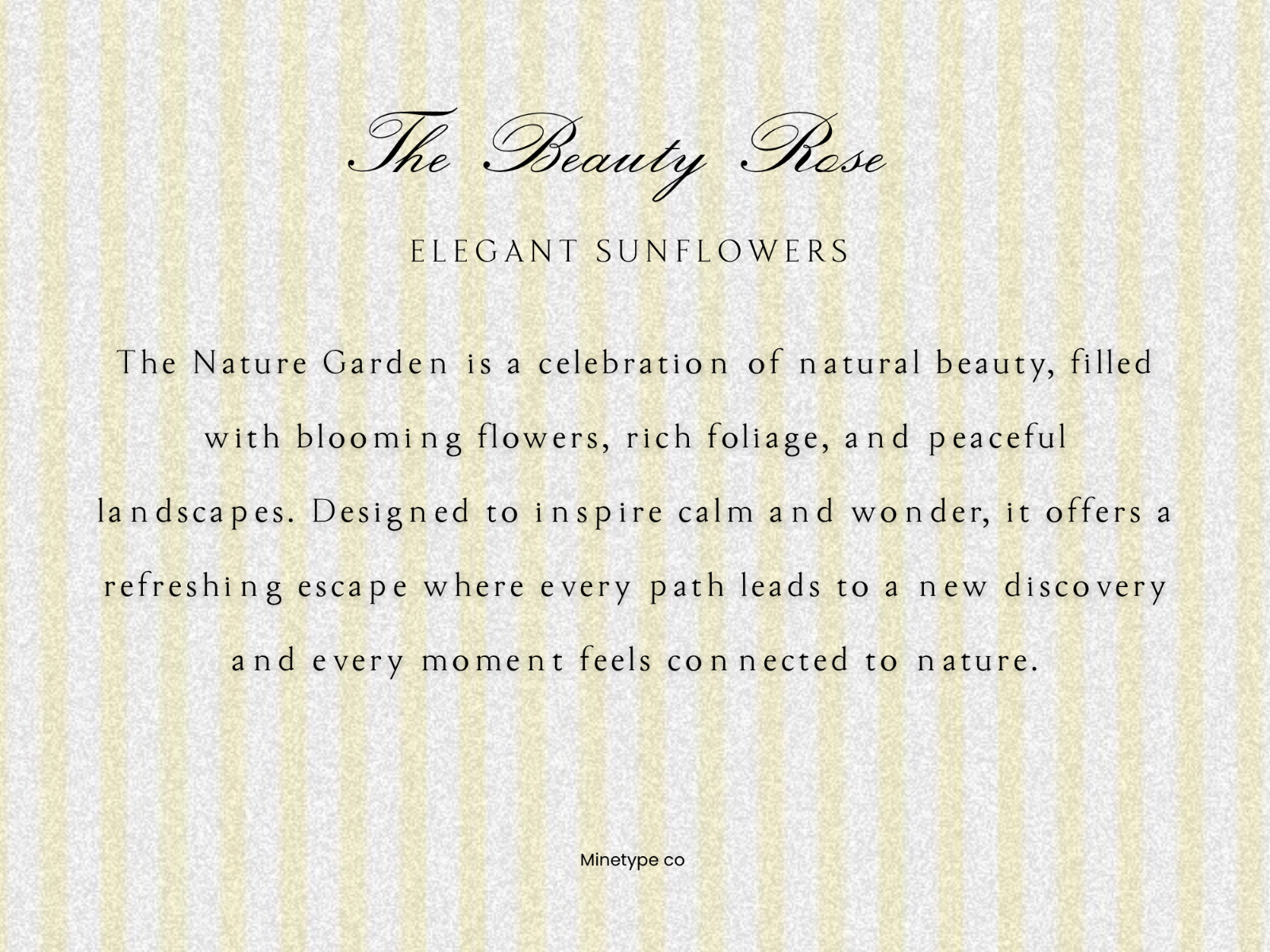 The Jungle - Script Serif Font