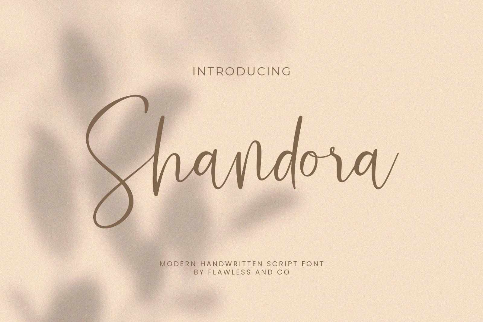 Shandora - Modern Handwritten Font — image 1