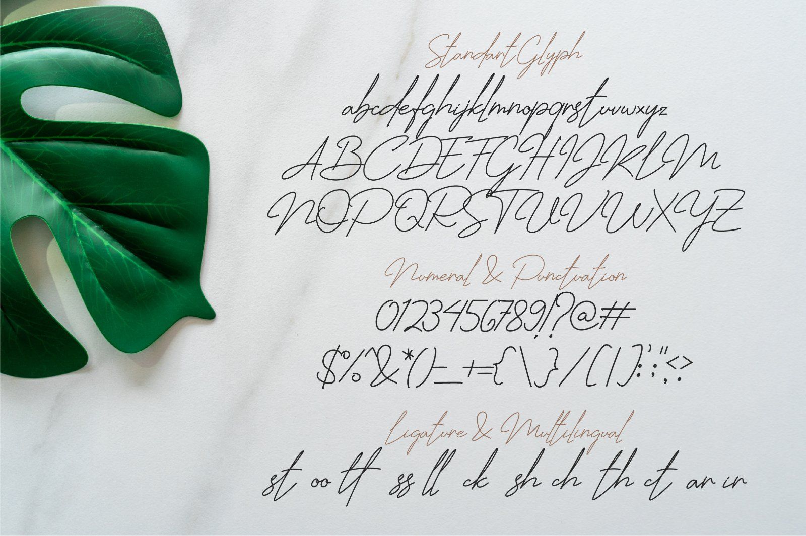Jhenyta Signature Script — image 5