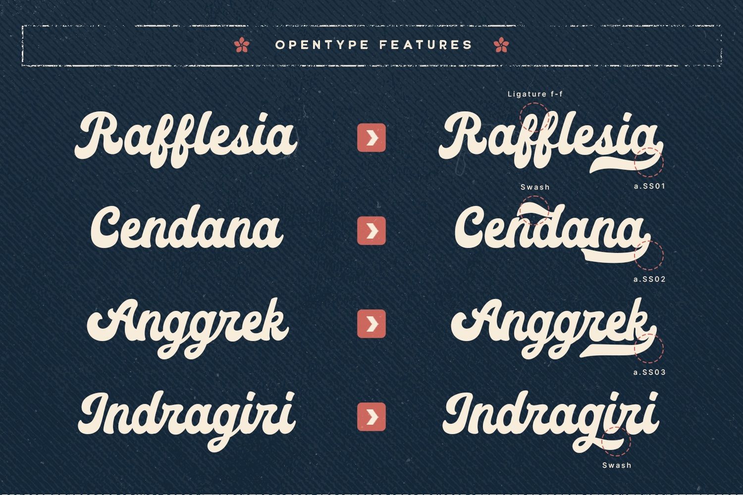 Kaylani - Vintage Script Display — image 8