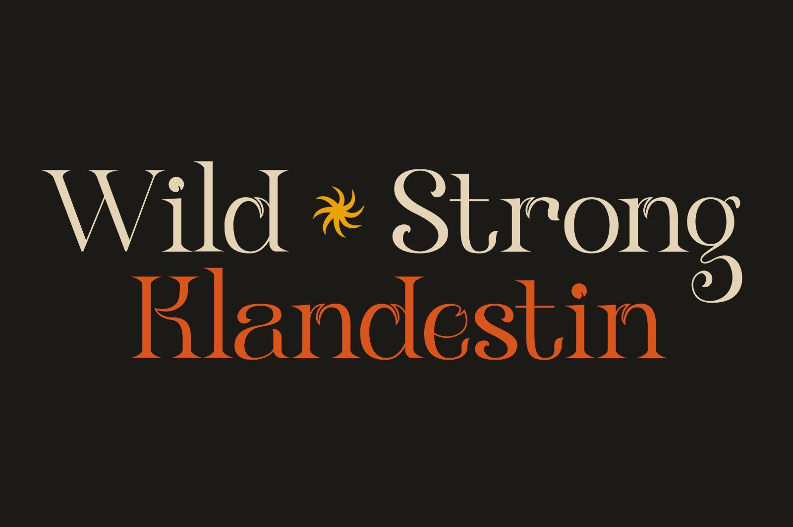 Klandestin Modern & Classical Serif — image 2