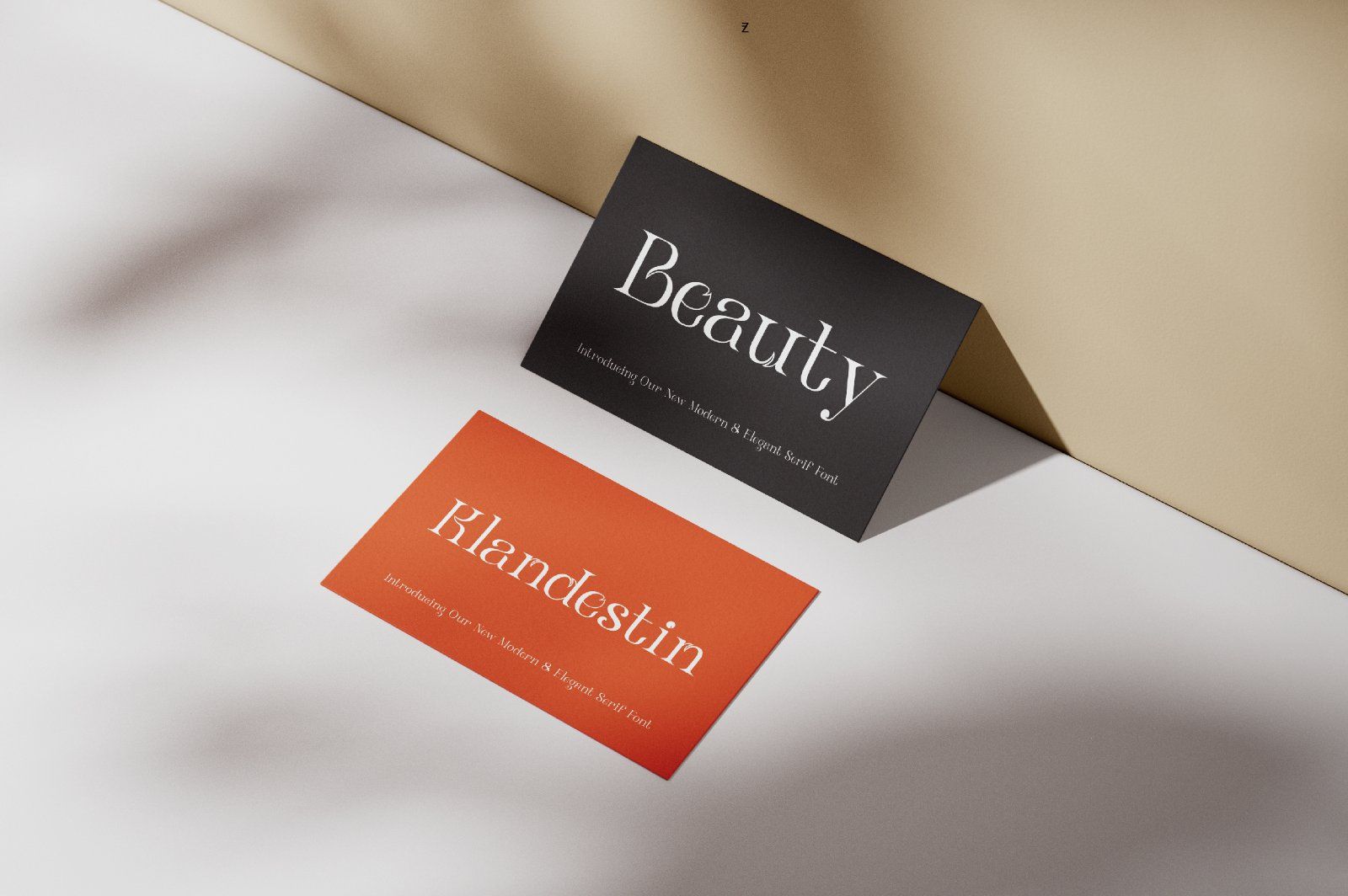 Klandestin Modern & Classical Serif — image 3