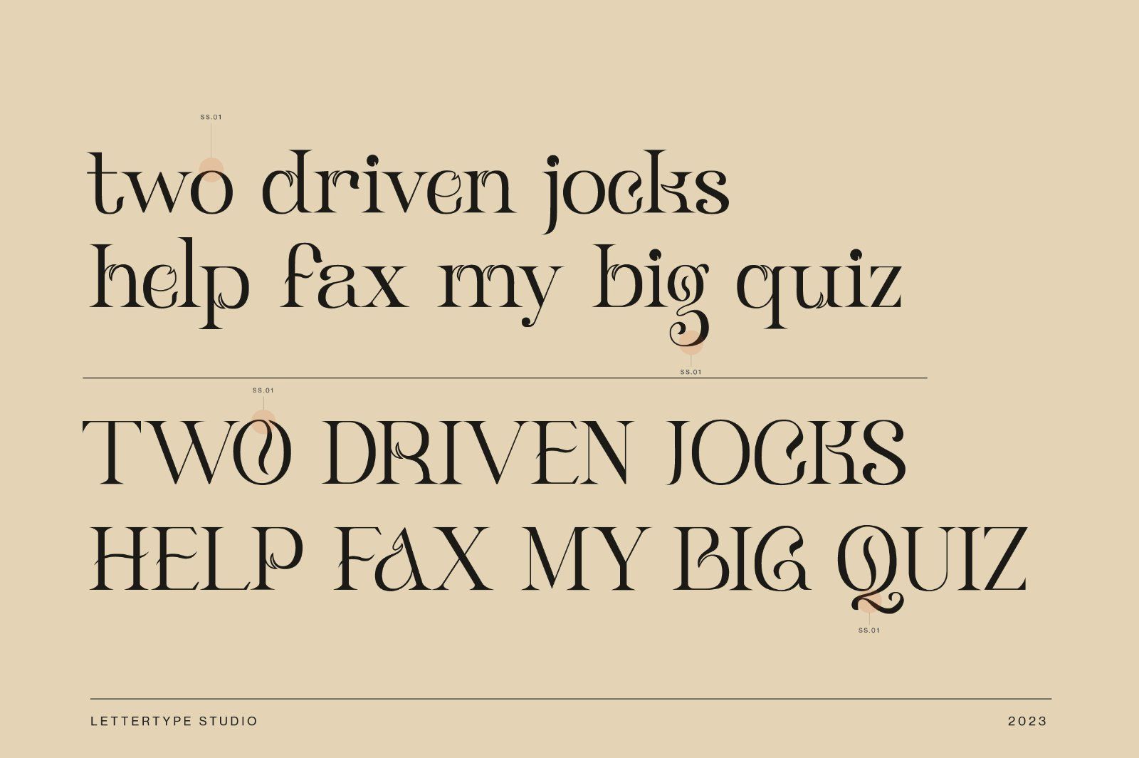 Klandestin Modern & Classical Serif — image 4
