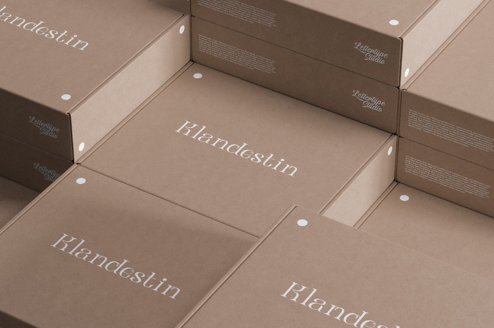 Klandestin Modern & Classical Serif — image 11