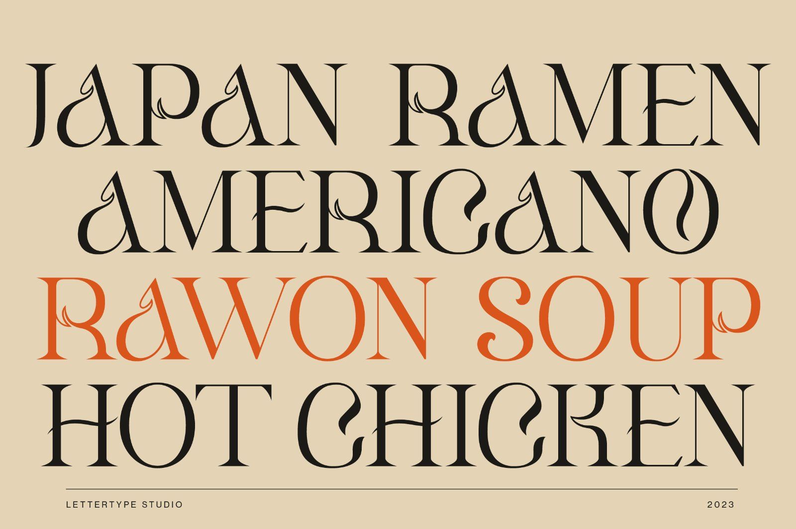 Klandestin Modern & Classical Serif — image 12