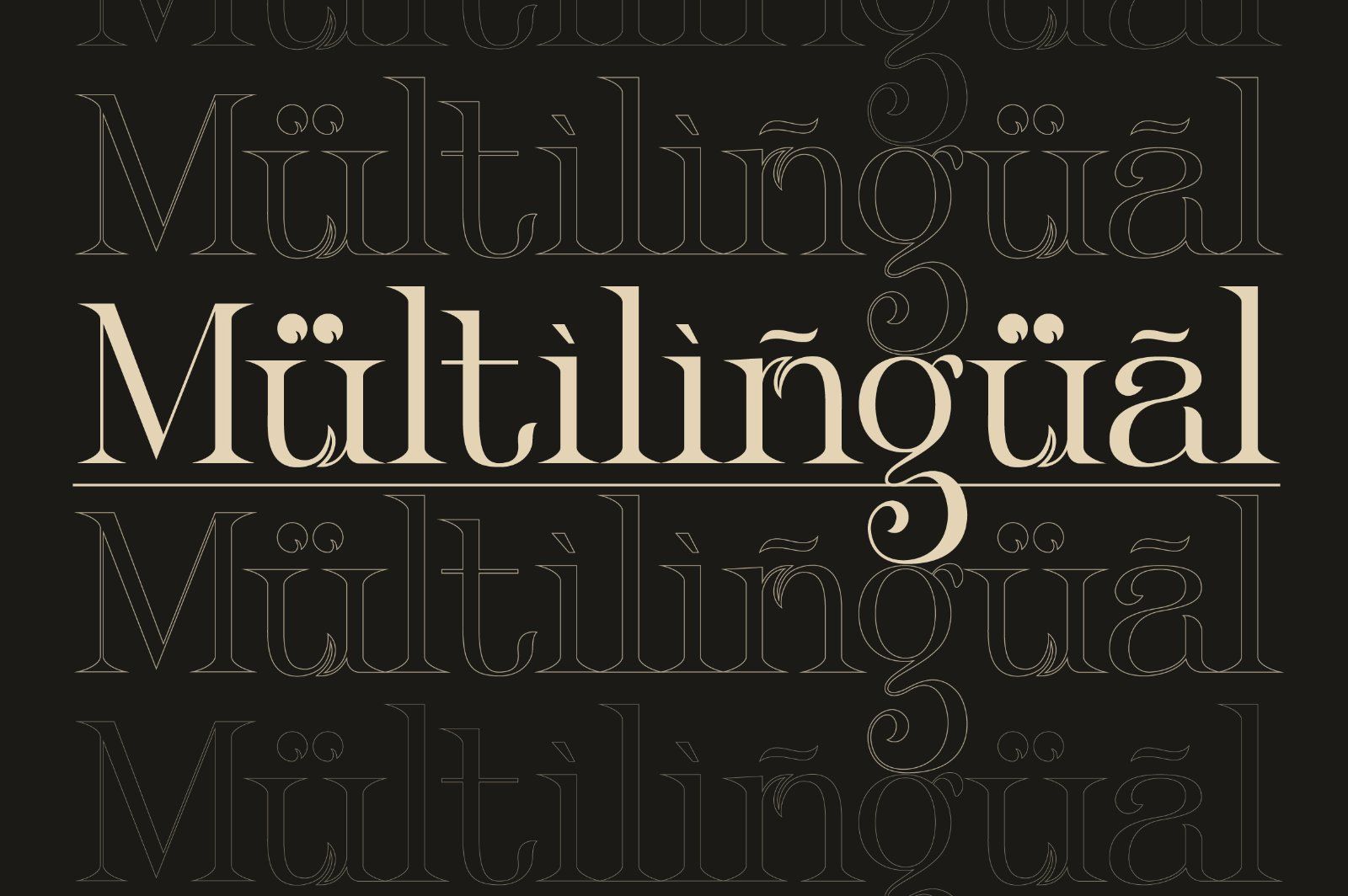 Klandestin Modern & Classical Serif — image 19