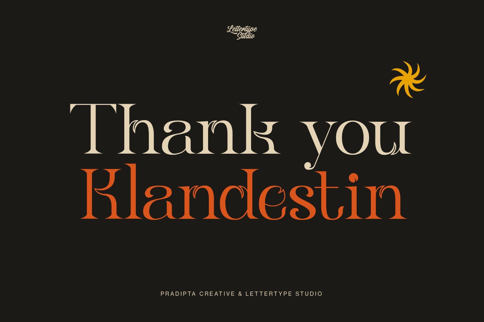 Klandestin Modern & Classical Serif — image 20