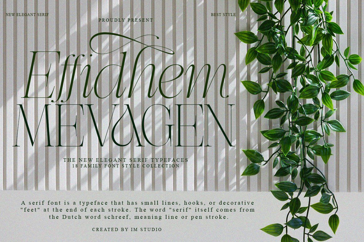 Effidhem Mevagen | 18 Font Files — image 13