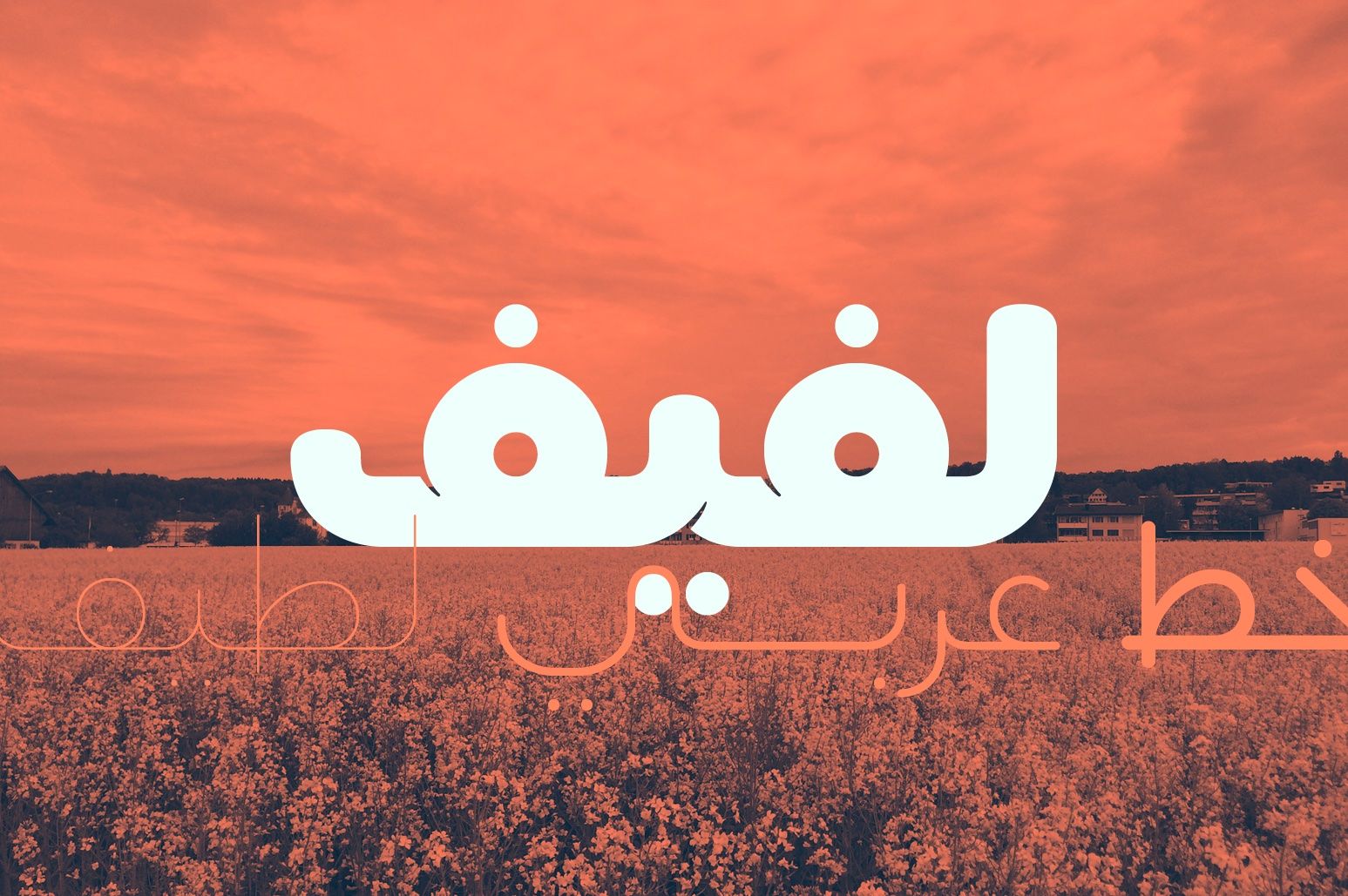 Lafeef - Arabic Typeface