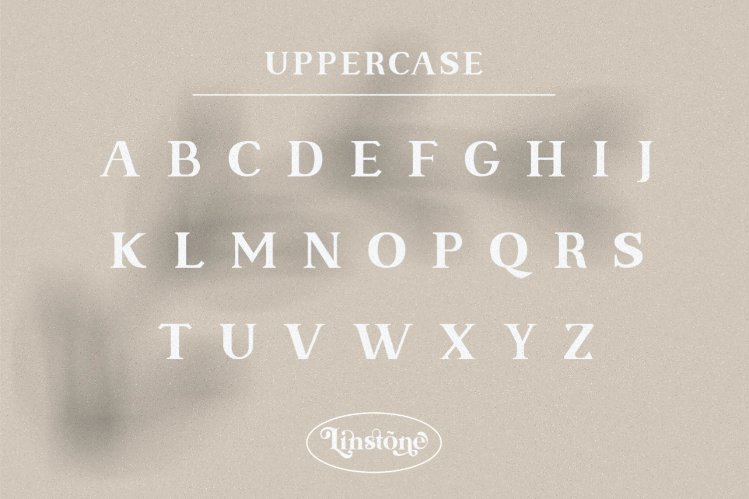 Linstone - modern serif — image 11
