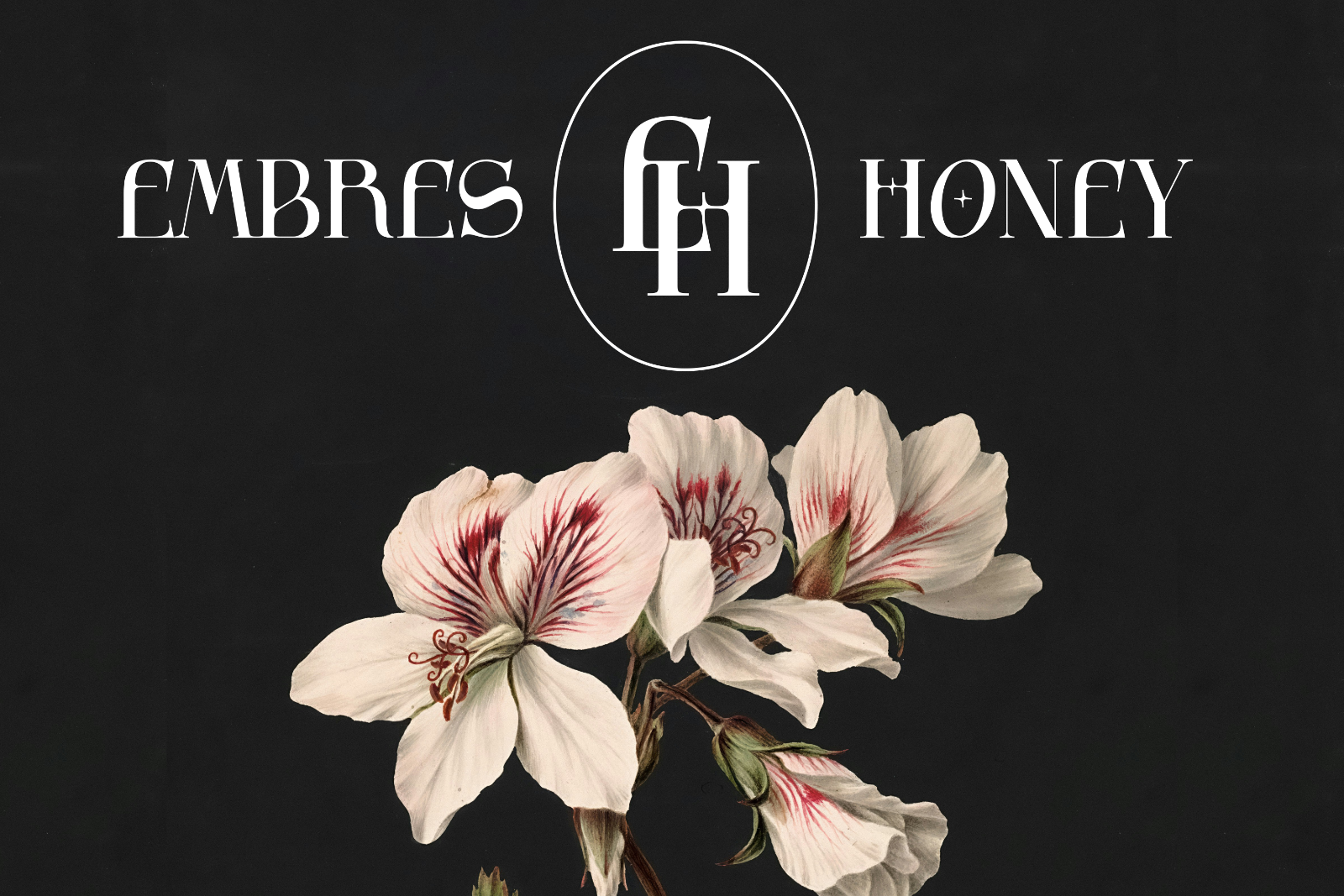 Lumiflora — Elegant Display Serif Typeface — image 4