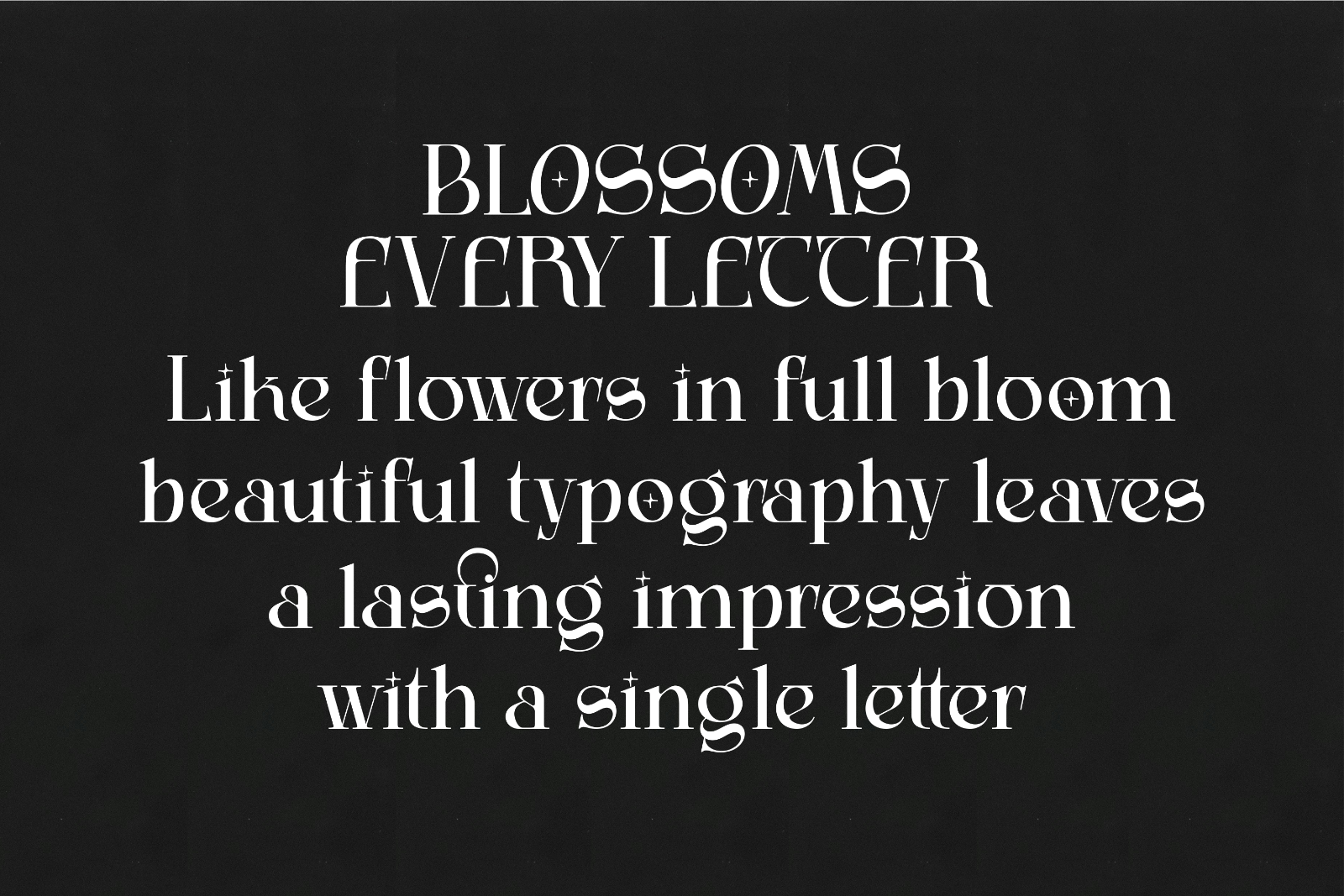 Lumiflora — Elegant Display Serif Typeface — image 5