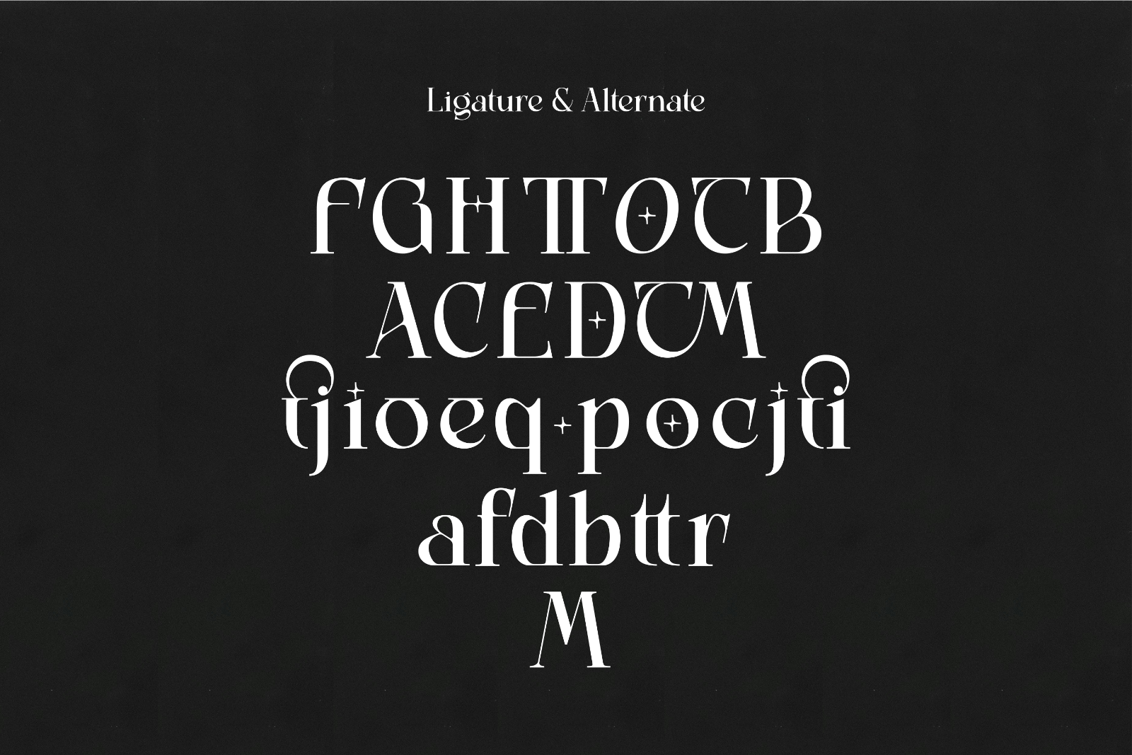 Lumiflora — Elegant Display Serif Typeface — image 7
