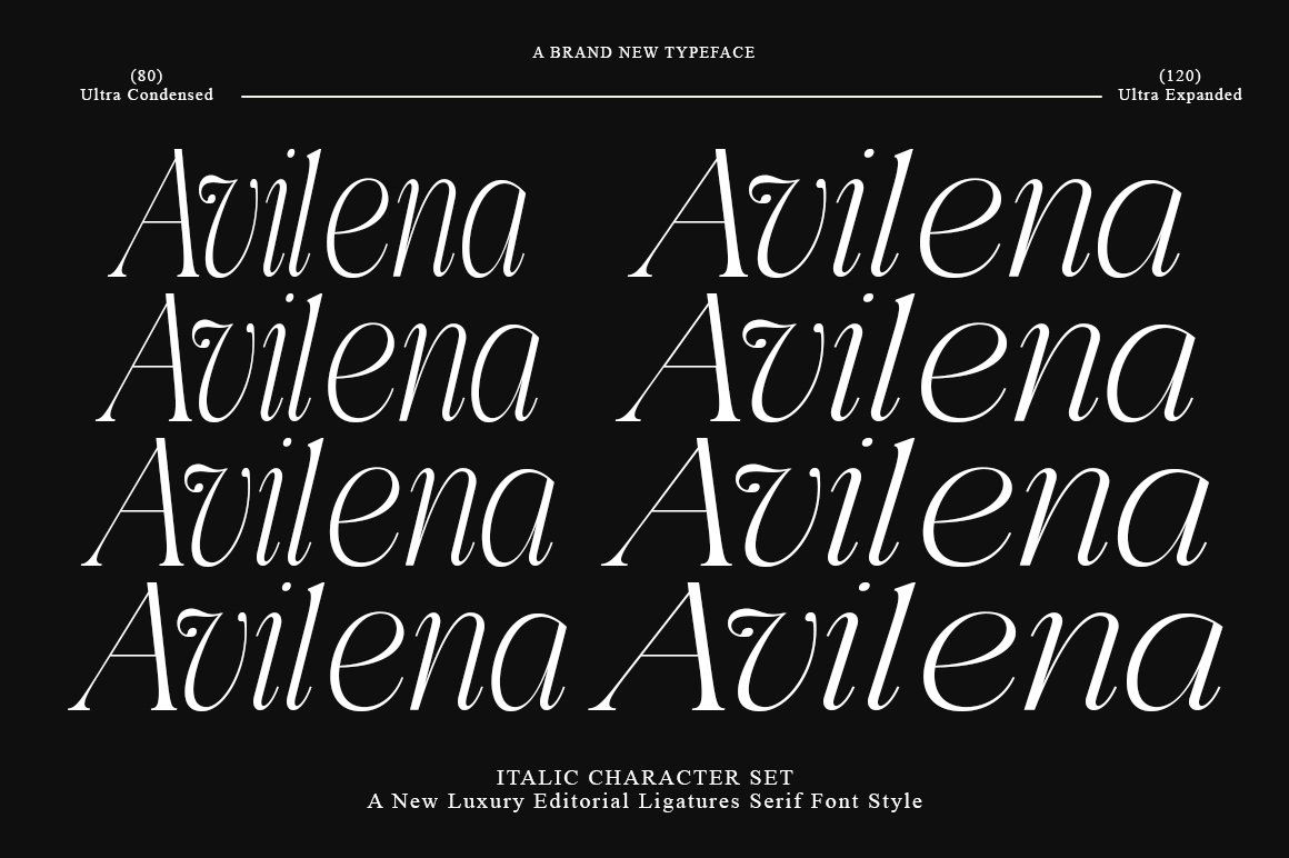 Aviluero Rasnora | 27 Font Files — image 13