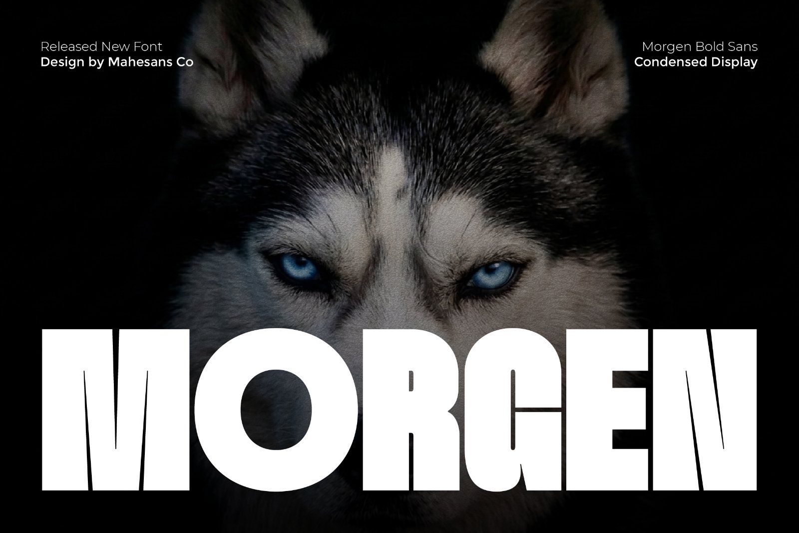 Morgen – Bold Condensed Display Font
