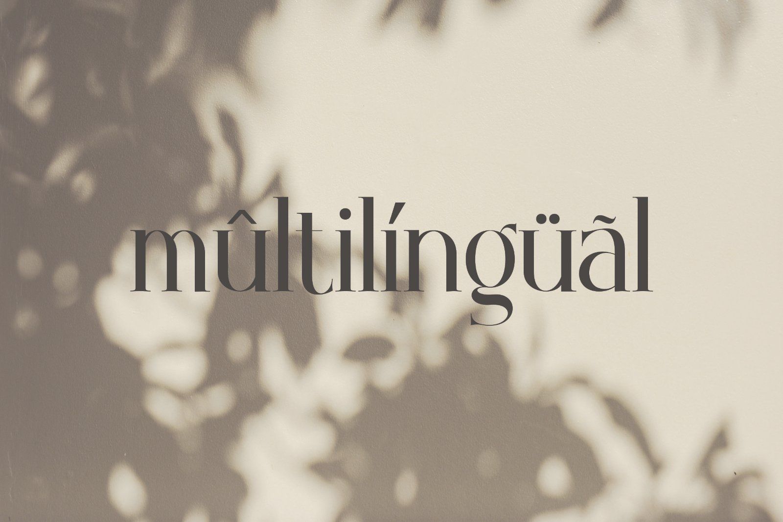 Hookana - Elegant Serif Font — image 10