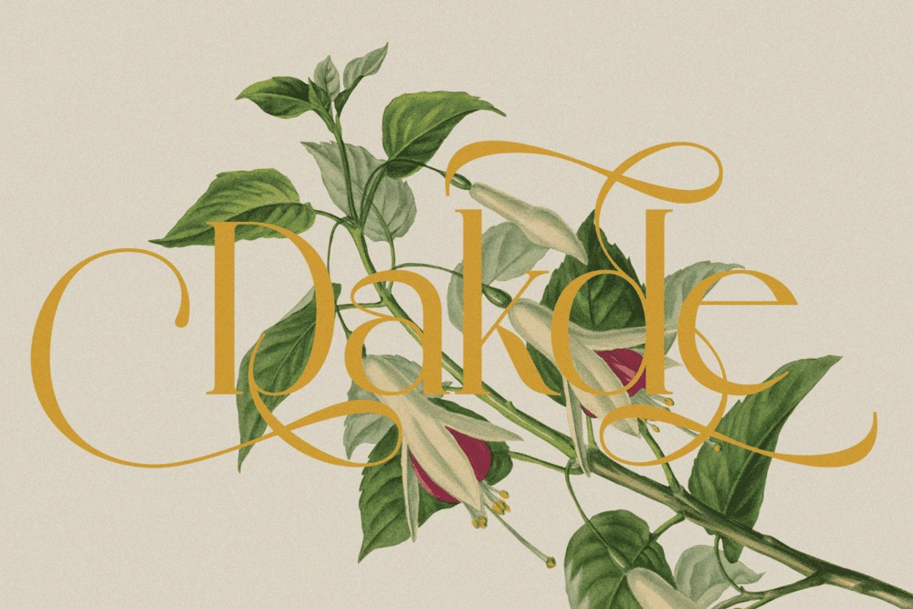 MADHIK BAGIMAR — Elegant Luxury Branding Font — image 13
