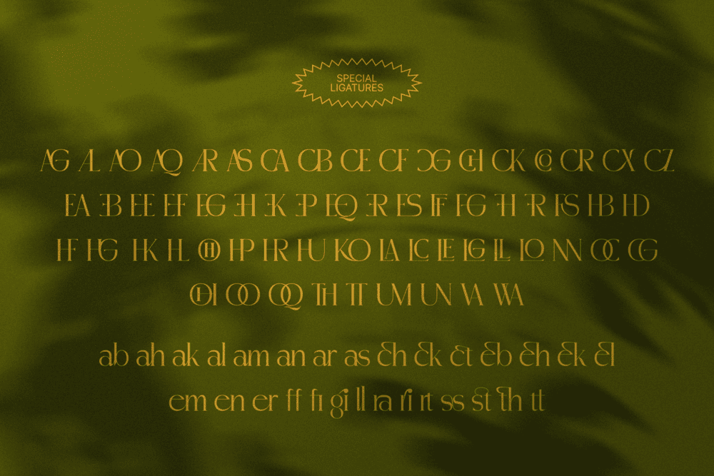 MADHIK BAGIMAR — Elegant Luxury Branding Font