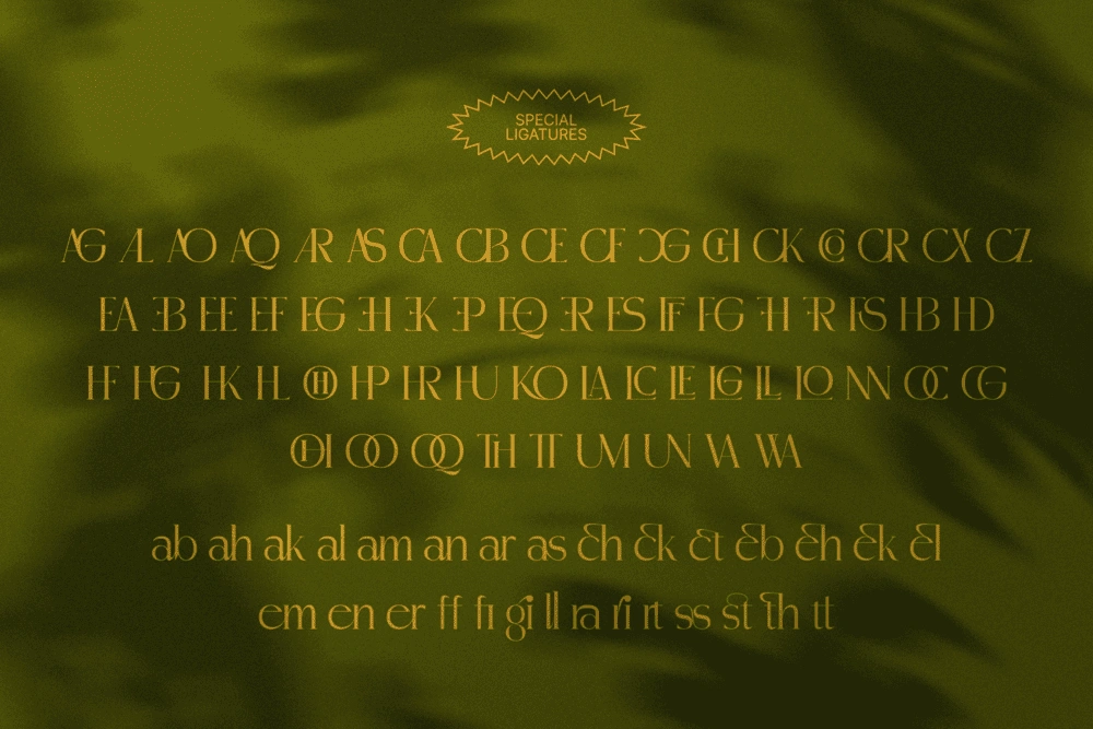 MADHIK BAGIMAR — Elegant Luxury Branding Font — image 19