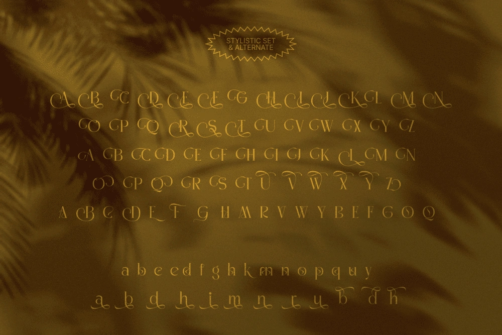 MADHIK BAGIMAR — Elegant Luxury Branding Font — image 20