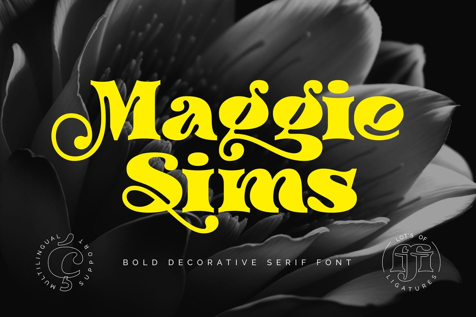 Maggie Sims - Bold Serif Font — image 1