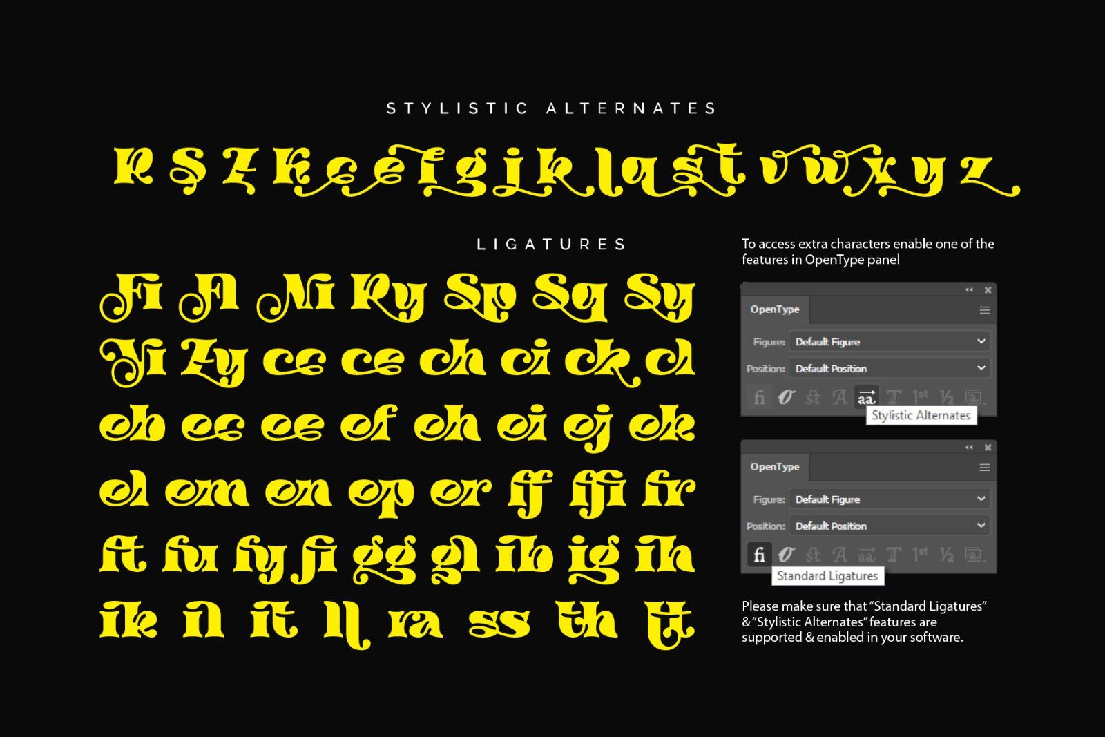 Maggie Sims - Bold Serif Font — image 8
