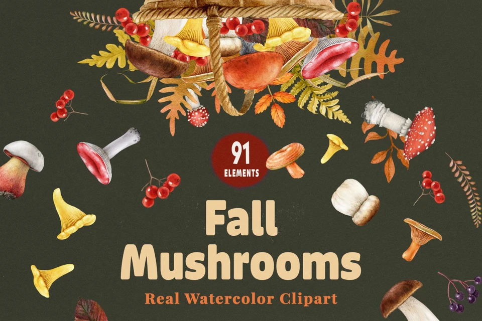 Fall Mushrooms Watercolor Clipart