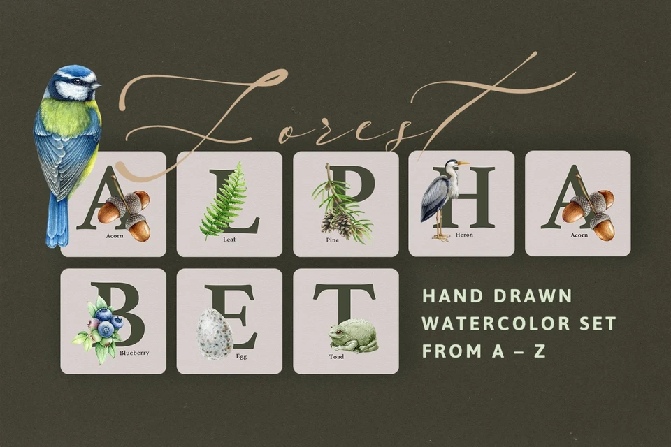 Forest Alphabet Watercolor Clipart