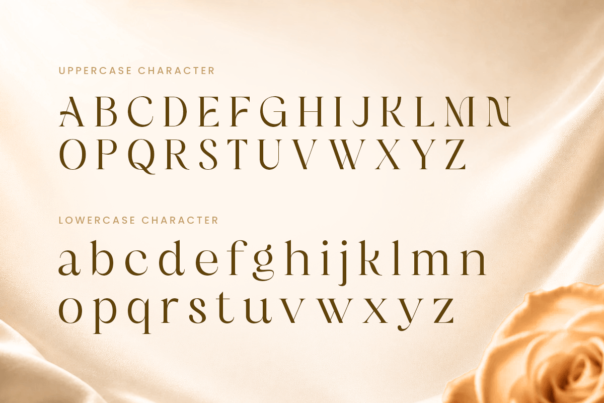 Meghale-Modern Serif Font — image 10