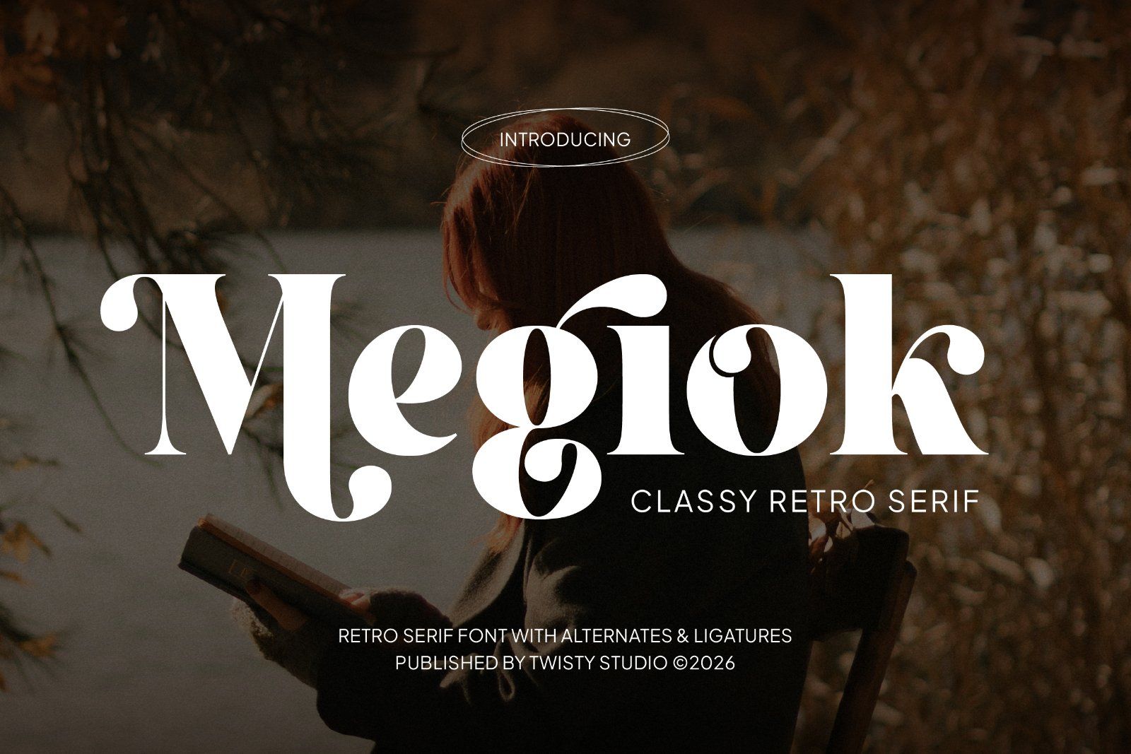 Megiok - Classy Retro Serif Font — image 1