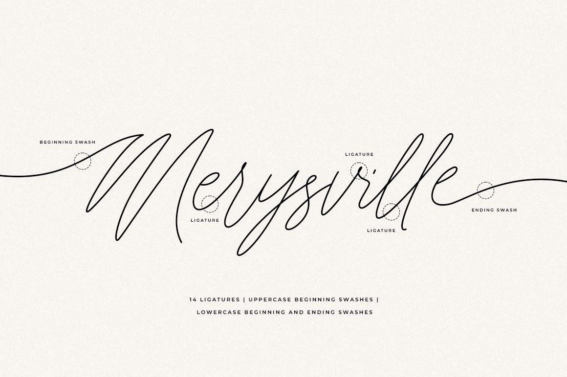 Merysville Modern Signature Script Font with Swashes — image 10