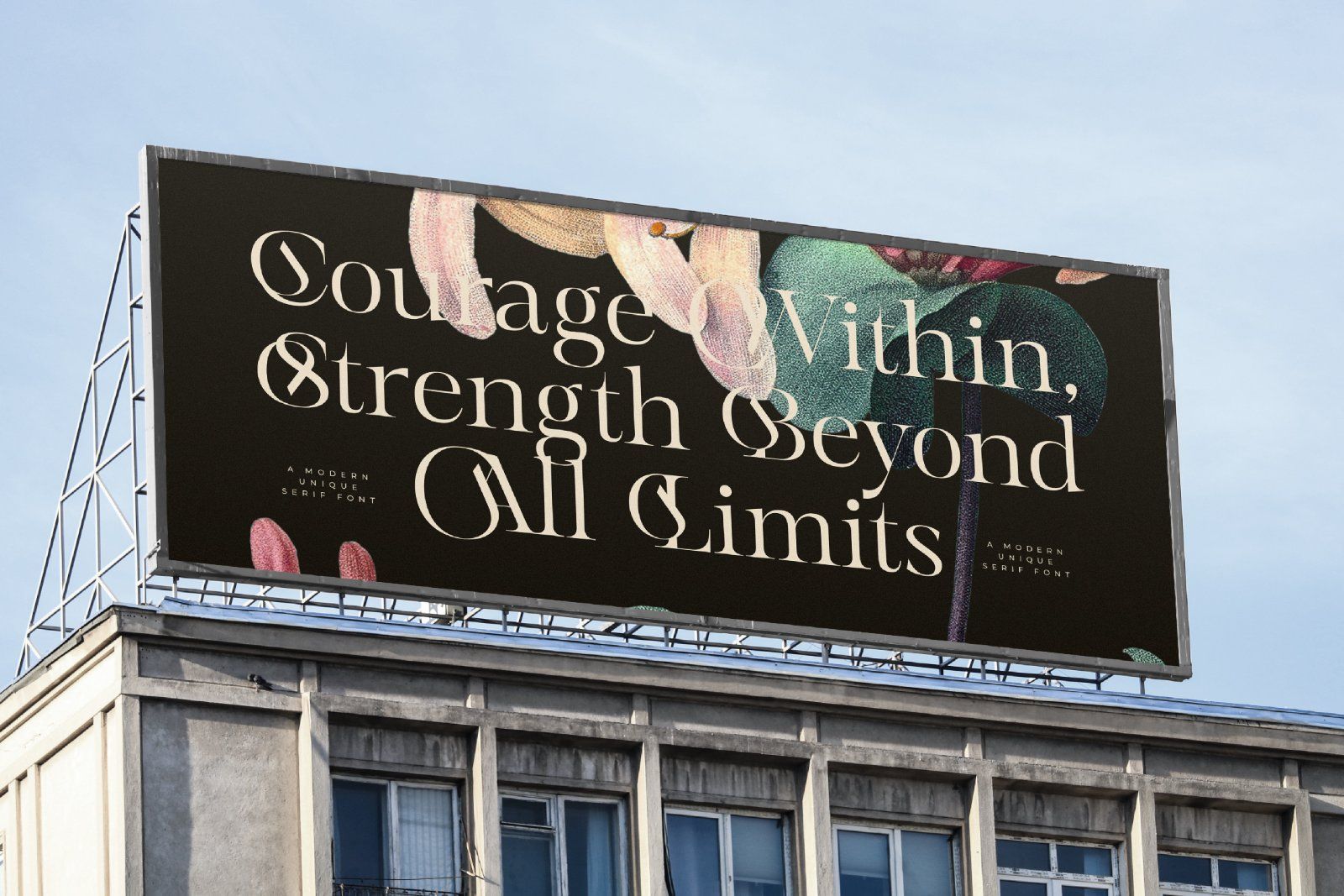 Mevara - Elegant Serif with Flourish — image 4