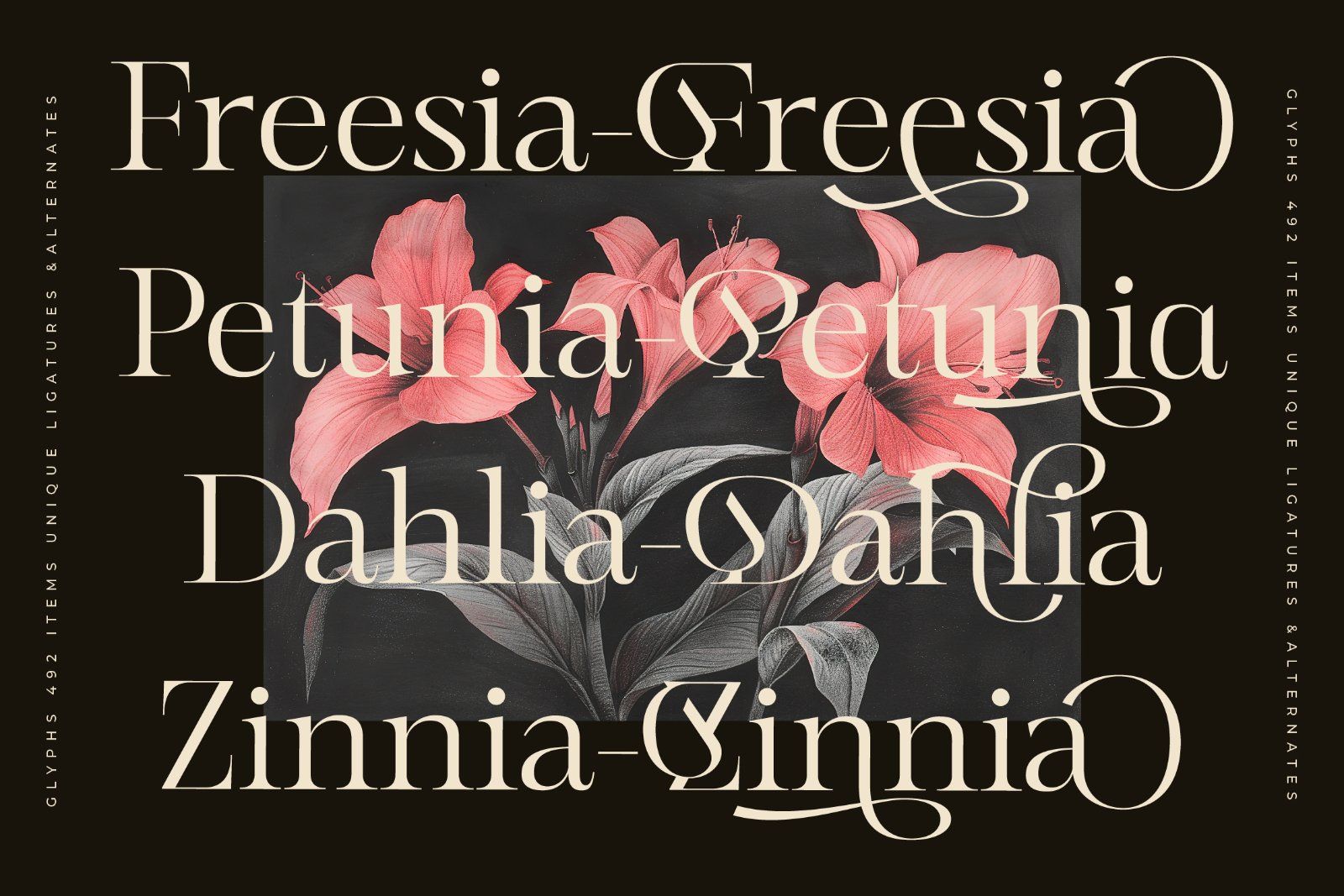 Mevara - Elegant Serif with Flourish — image 8