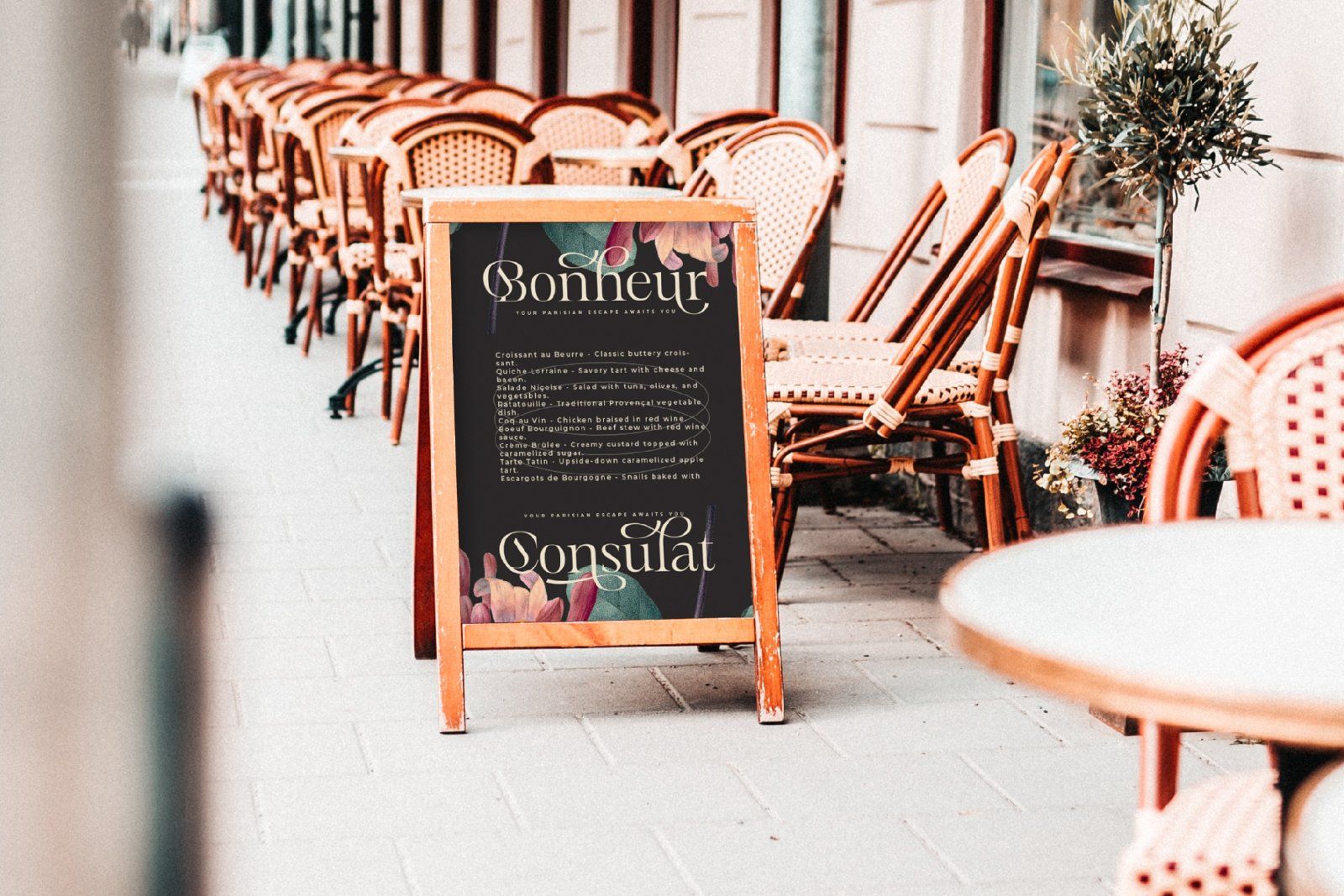 Mevara - Elegant Serif with Flourish — image 13